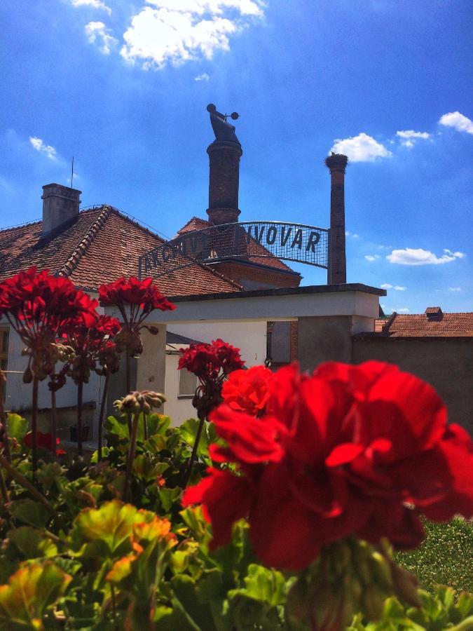 Pivovarsky Hotel Dalesice Εξωτερικό φωτογραφία